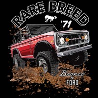 Ford Bronco Rare Breed